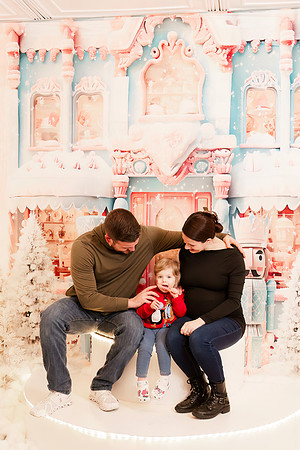 - Brittany Lynn Imagery LLC - Christie Lewis Homes - STL St Louis MO Portrait Photographer - Christmas 2024-129