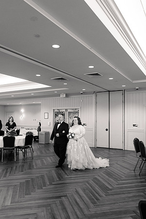 Ashley and Victor - Brittany Lynn Imagery LLC - STL St Louis MO Wedding Portrait Photographer BW-82