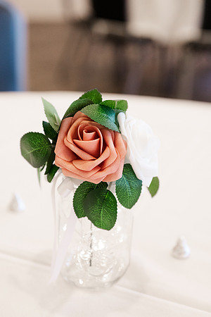 Ashley and Victor - Brittany Lynn Imagery LLC - STL St Louis MO Wedding Portrait Photographer -1