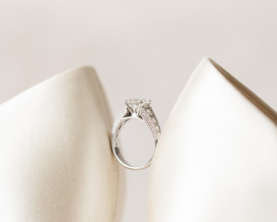 Brittany Lynn Imagery LLC STL St Charles Wedding Portrait Photographer-3-2