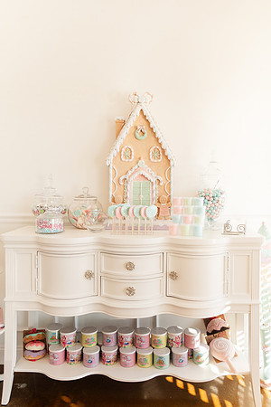 - Brittany Lynn Imagery LLC - Christie Lewis Homes 2024 - STL St Louis MO Portrait Photographer -7