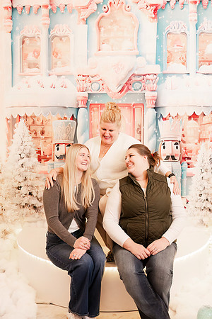 - Brittany Lynn Imagery LLC - Christie Lewis Homes - STL St Louis MO Portrait Photographer - Christmas 2024-124