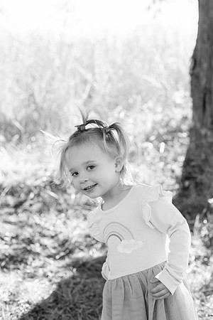 - Brittany Lynn Imagery LLC - Brittany Branson - STL St Louis St Charles MO Portrait Photographer-99