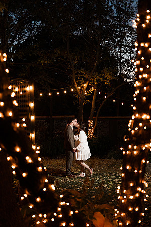 Marry Me Cottage - Brittany Lynn Imagery LLC - STL St Louis MO Wedding Portrait Photographer -32