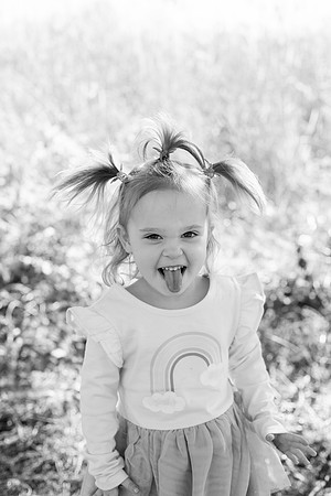 - Brittany Lynn Imagery LLC - Brittany Branson - STL St Louis St Charles MO Portrait Photographer-16