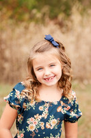 Greene Family Collection - Brittany Lynn Imagery LLC - Brittany Branson - STL St Louis St Charles MO Portrait Photographer-2