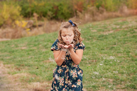 Greene Family Collection - Brittany Lynn Imagery LLC - Brittany Branson - STL St Louis St Charles MO Portrait Photographer-148