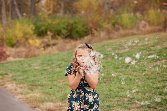 Greene Family Collection - Brittany Lynn Imagery LLC - Brittany Branson - STL St Louis St Charles MO Portrait Photographer-147