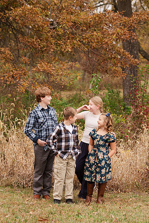 Greene Family Collection - Brittany Lynn Imagery LLC - Brittany Branson - STL St Louis St Charles MO Portrait Photographer-68