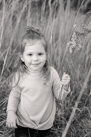 The Oehlers - Broemmelsiek Park - Brittany Lynn Imagery LLC - STL St Louis MO Wedding Portrait Photographer BW-375