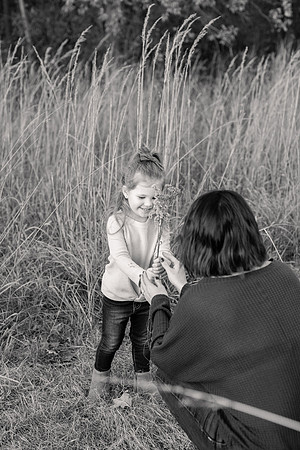 The Oehlers - Broemmelsiek Park - Brittany Lynn Imagery LLC - STL St Louis MO Wedding Portrait Photographer BW-383