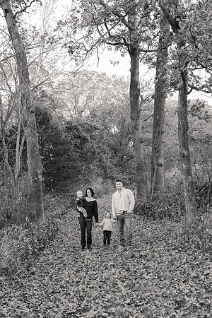 The Oehlers - Broemmelsiek Park - Brittany Lynn Imagery LLC - STL St Louis MO Wedding Portrait Photographer BW-22