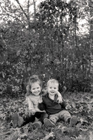 The Oehlers - Broemmelsiek Park - Brittany Lynn Imagery LLC - STL St Louis MO Wedding Portrait Photographer BW-15