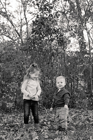 The Oehlers - Broemmelsiek Park - Brittany Lynn Imagery LLC - STL St Louis MO Wedding Portrait Photographer BW-20