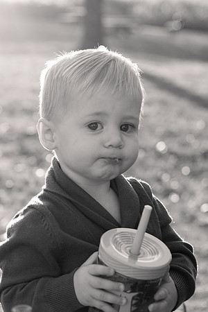 The Oehlers - Broemmelsiek Park - Brittany Lynn Imagery LLC - STL St Louis MO Wedding Portrait Photographer BW-256