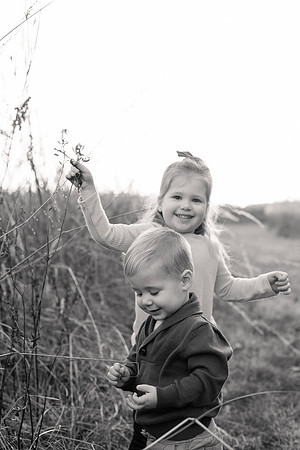 The Oehlers - Broemmelsiek Park - Brittany Lynn Imagery LLC - STL St Louis MO Wedding Portrait Photographer BW-318