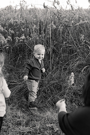The Oehlers - Broemmelsiek Park - Brittany Lynn Imagery LLC - STL St Louis MO Wedding Portrait Photographer BW-343