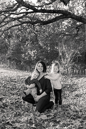 The Oehlers - Broemmelsiek Park - Brittany Lynn Imagery LLC - STL St Louis MO Wedding Portrait Photographer BW-35