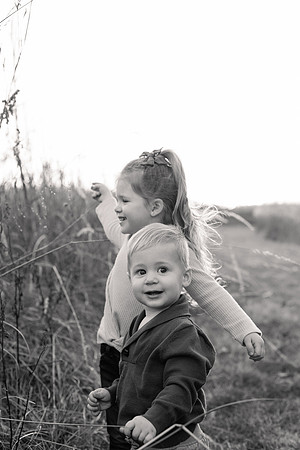 The Oehlers - Broemmelsiek Park - Brittany Lynn Imagery LLC - STL St Louis MO Wedding Portrait Photographer BW-306