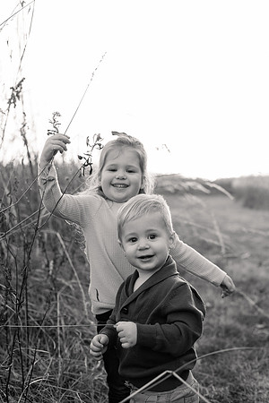 The Oehlers - Broemmelsiek Park - Brittany Lynn Imagery LLC - STL St Louis MO Wedding Portrait Photographer BW-304