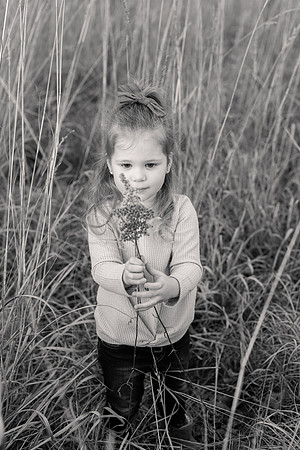 The Oehlers - Broemmelsiek Park - Brittany Lynn Imagery LLC - STL St Louis MO Wedding Portrait Photographer BW-371