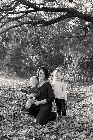 The Oehlers - Broemmelsiek Park - Brittany Lynn Imagery LLC - STL St Louis MO Wedding Portrait Photographer BW-239