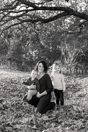 The Oehlers - Broemmelsiek Park - Brittany Lynn Imagery LLC - STL St Louis MO Wedding Portrait Photographer BW-36
