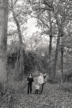 The Oehlers - Broemmelsiek Park - Brittany Lynn Imagery LLC - STL St Louis MO Wedding Portrait Photographer BW-198
