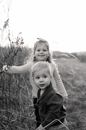 The Oehlers - Broemmelsiek Park - Brittany Lynn Imagery LLC - STL St Louis MO Wedding Portrait Photographer BW-298