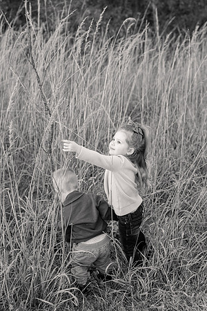 The Oehlers - Broemmelsiek Park - Brittany Lynn Imagery LLC - STL St Louis MO Wedding Portrait Photographer BW-366