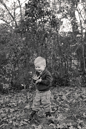 The Oehlers - Broemmelsiek Park - Brittany Lynn Imagery LLC - STL St Louis MO Wedding Portrait Photographer BW-21