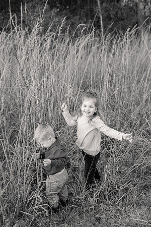 The Oehlers - Broemmelsiek Park - Brittany Lynn Imagery LLC - STL St Louis MO Wedding Portrait Photographer BW-362