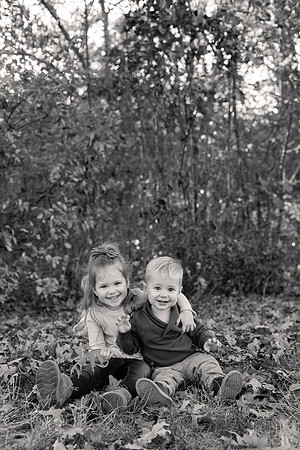The Oehlers - Broemmelsiek Park - Brittany Lynn Imagery LLC - STL St Louis MO Wedding Portrait Photographer BW-14