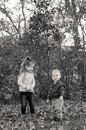 The Oehlers - Broemmelsiek Park - Brittany Lynn Imagery LLC - STL St Louis MO Wedding Portrait Photographer BW-156
