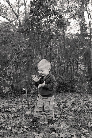 The Oehlers - Broemmelsiek Park - Brittany Lynn Imagery LLC - STL St Louis MO Wedding Portrait Photographer BW-174