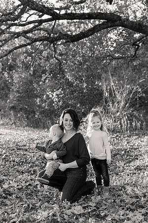 The Oehlers - Broemmelsiek Park - Brittany Lynn Imagery LLC - STL St Louis MO Wedding Portrait Photographer BW-238