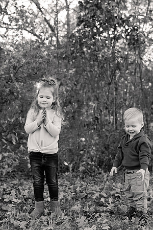 The Oehlers - Broemmelsiek Park - Brittany Lynn Imagery LLC - STL St Louis MO Wedding Portrait Photographer BW-159