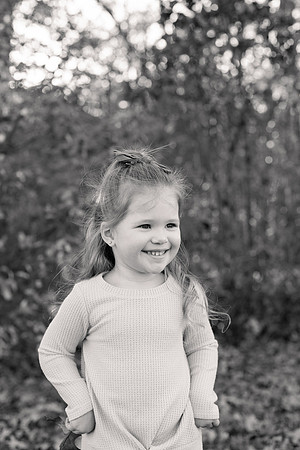 The Oehlers - Broemmelsiek Park - Brittany Lynn Imagery LLC - STL St Louis MO Wedding Portrait Photographer BW-123