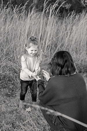 The Oehlers - Broemmelsiek Park - Brittany Lynn Imagery LLC - STL St Louis MO Wedding Portrait Photographer BW-382
