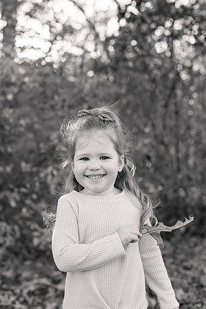 The Oehlers - Broemmelsiek Park - Brittany Lynn Imagery LLC - STL St Louis MO Wedding Portrait Photographer BW-114