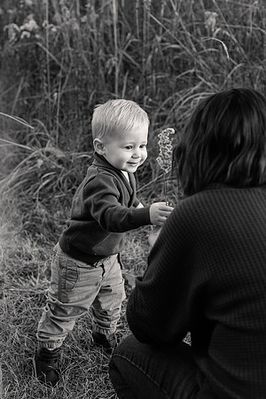The Oehlers - Broemmelsiek Park - Brittany Lynn Imagery LLC - STL St Louis MO Wedding Portrait Photographer BW-345