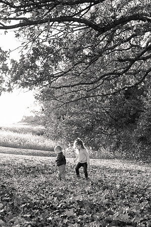 The Oehlers - Broemmelsiek Park - Brittany Lynn Imagery LLC - STL St Louis MO Wedding Portrait Photographer BW-38