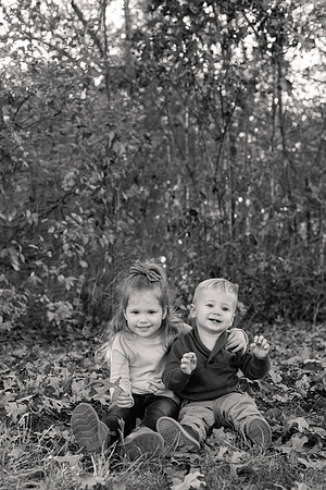 The Oehlers - Broemmelsiek Park - Brittany Lynn Imagery LLC - STL St Louis MO Wedding Portrait Photographer BW-130