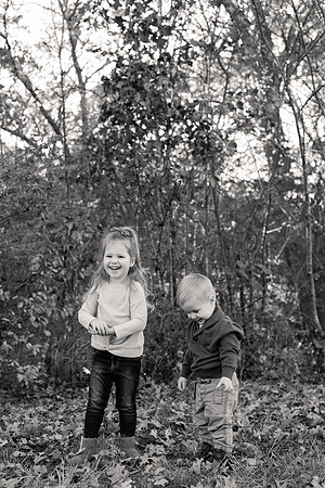 The Oehlers - Broemmelsiek Park - Brittany Lynn Imagery LLC - STL St Louis MO Wedding Portrait Photographer BW-152