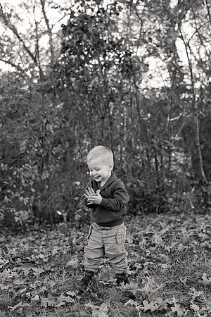 The Oehlers - Broemmelsiek Park - Brittany Lynn Imagery LLC - STL St Louis MO Wedding Portrait Photographer BW-176