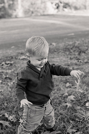 The Oehlers - Broemmelsiek Park - Brittany Lynn Imagery LLC - STL St Louis MO Wedding Portrait Photographer BW-111