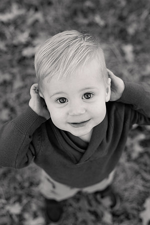 The Oehlers - Broemmelsiek Park - Brittany Lynn Imagery LLC - STL St Louis MO Wedding Portrait Photographer BW-1