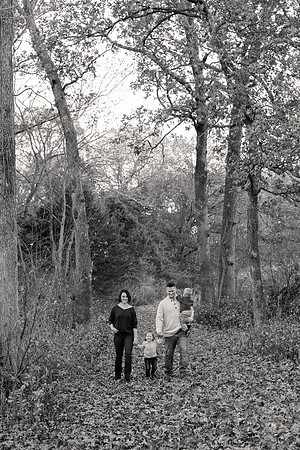 The Oehlers - Broemmelsiek Park - Brittany Lynn Imagery LLC - STL St Louis MO Wedding Portrait Photographer BW-199