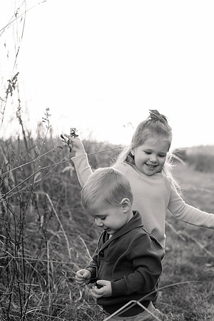The Oehlers - Broemmelsiek Park - Brittany Lynn Imagery LLC - STL St Louis MO Wedding Portrait Photographer BW-319