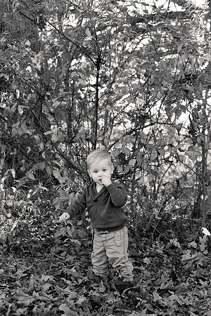 The Oehlers - Broemmelsiek Park - Brittany Lynn Imagery LLC - STL St Louis MO Wedding Portrait Photographer BW-61